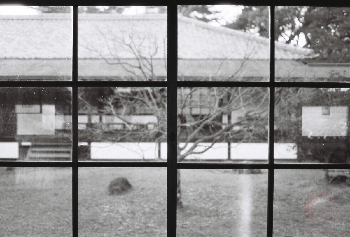 それでは皆さま、おやすみなさいませ(( _ _ ))..zzzZZ