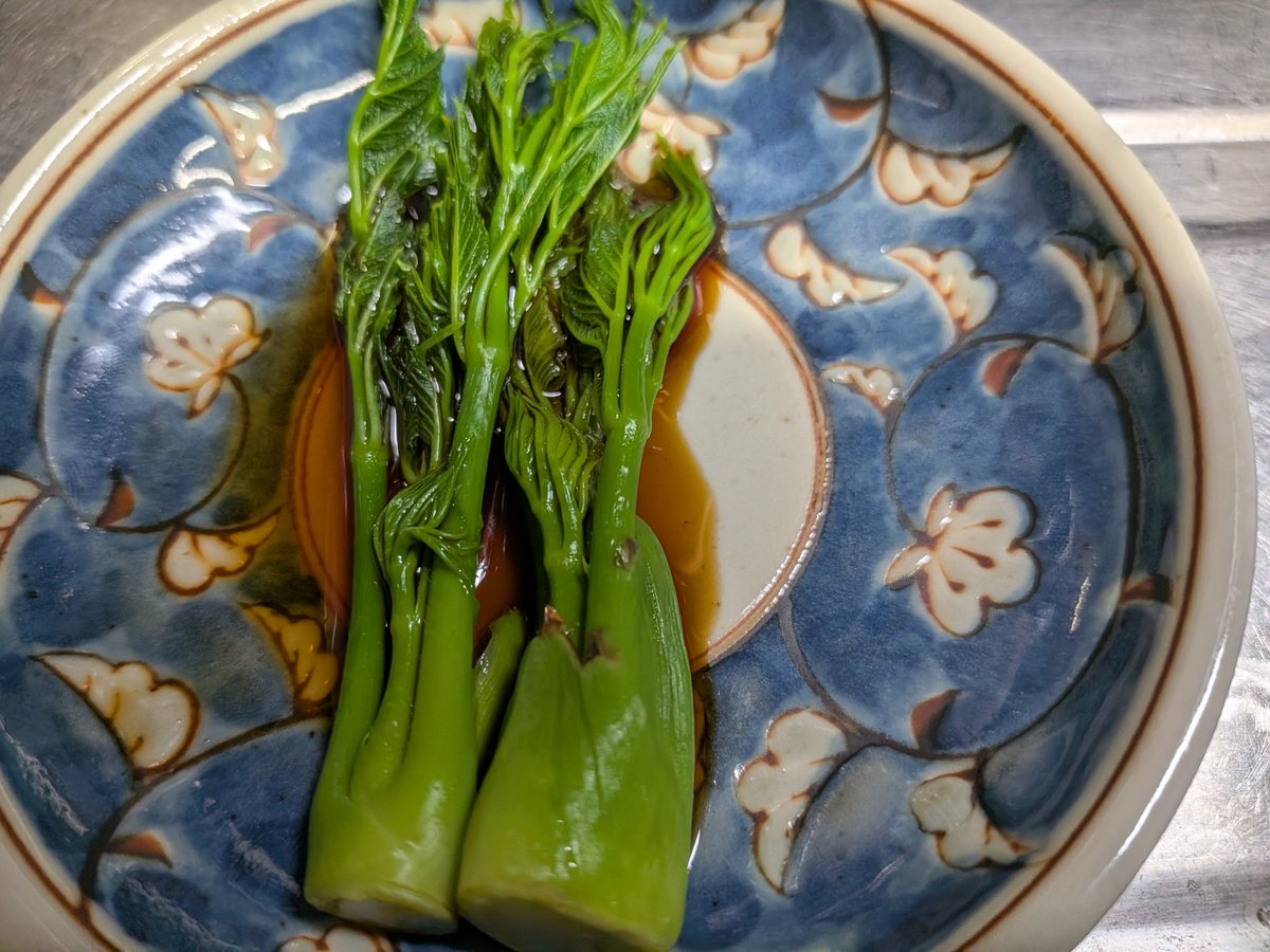 タラの芽ふかし成功かも！
ポン酢で超ウマいかも！
部屋に置いてたけど、たぶん暗い場所で作った方がいいのかも！