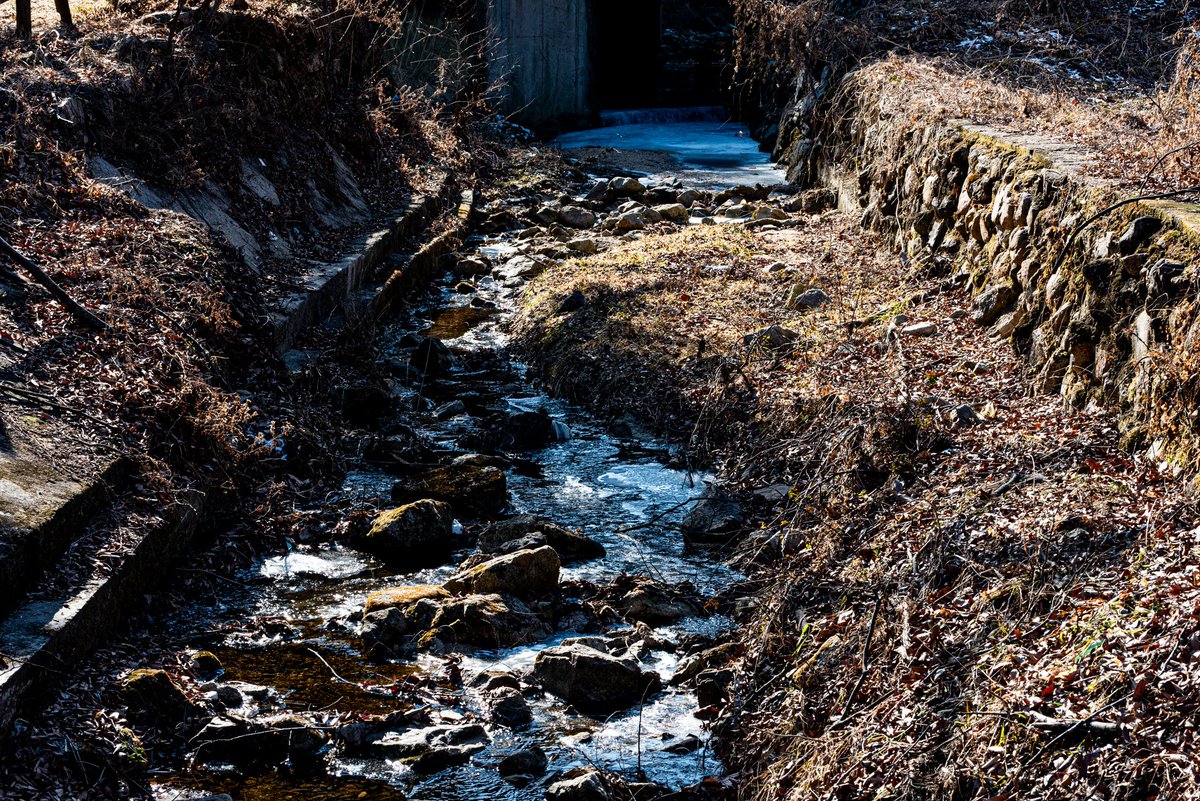 Elution2002's tweet image. 