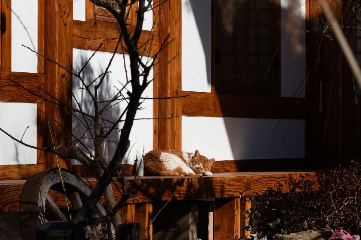 Elution2002's tweet image. 