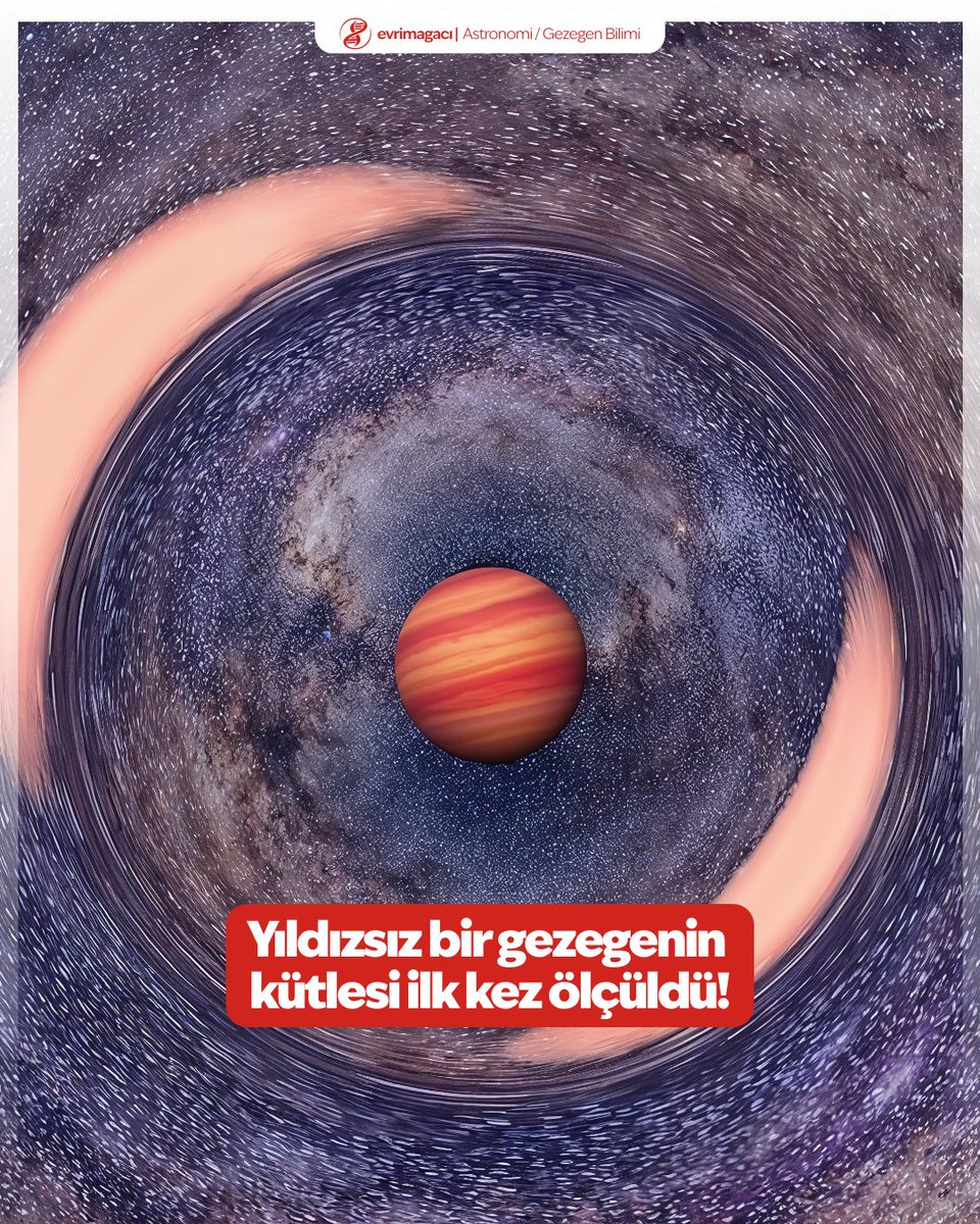 Evrim Ağacı tweet media