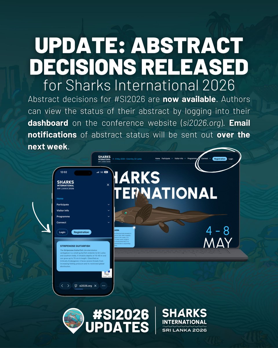Sharks International 2026 tweet media