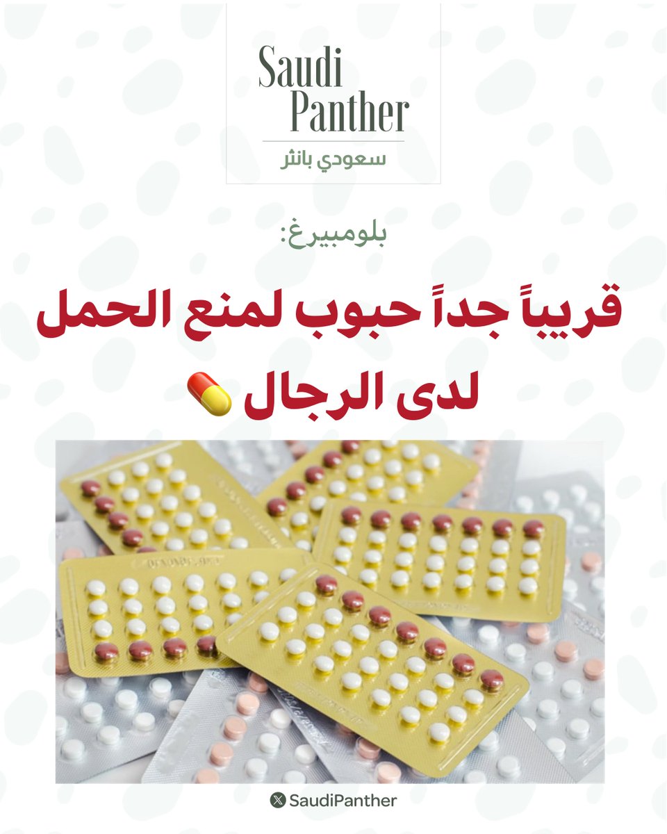 saudi panther | سعودي بانثر tweet media