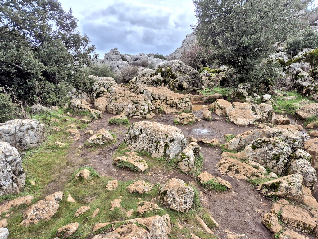 RemcoRavenhorst's tweet photo. Trip naar #Sevilla afgesloten in het nationale park #Torcal vlakbij Malaga. Supermooi. Maar omdat we er waren in de 5 dagen dat het regende ook superglad. Normaal is het grootste gevaar uitdroging 😆. Mooi om te zien. Nu lekker ontbijten in de zon en dan weer naar huis. 👋 #UEL https://t.co/kudmeQAnM3