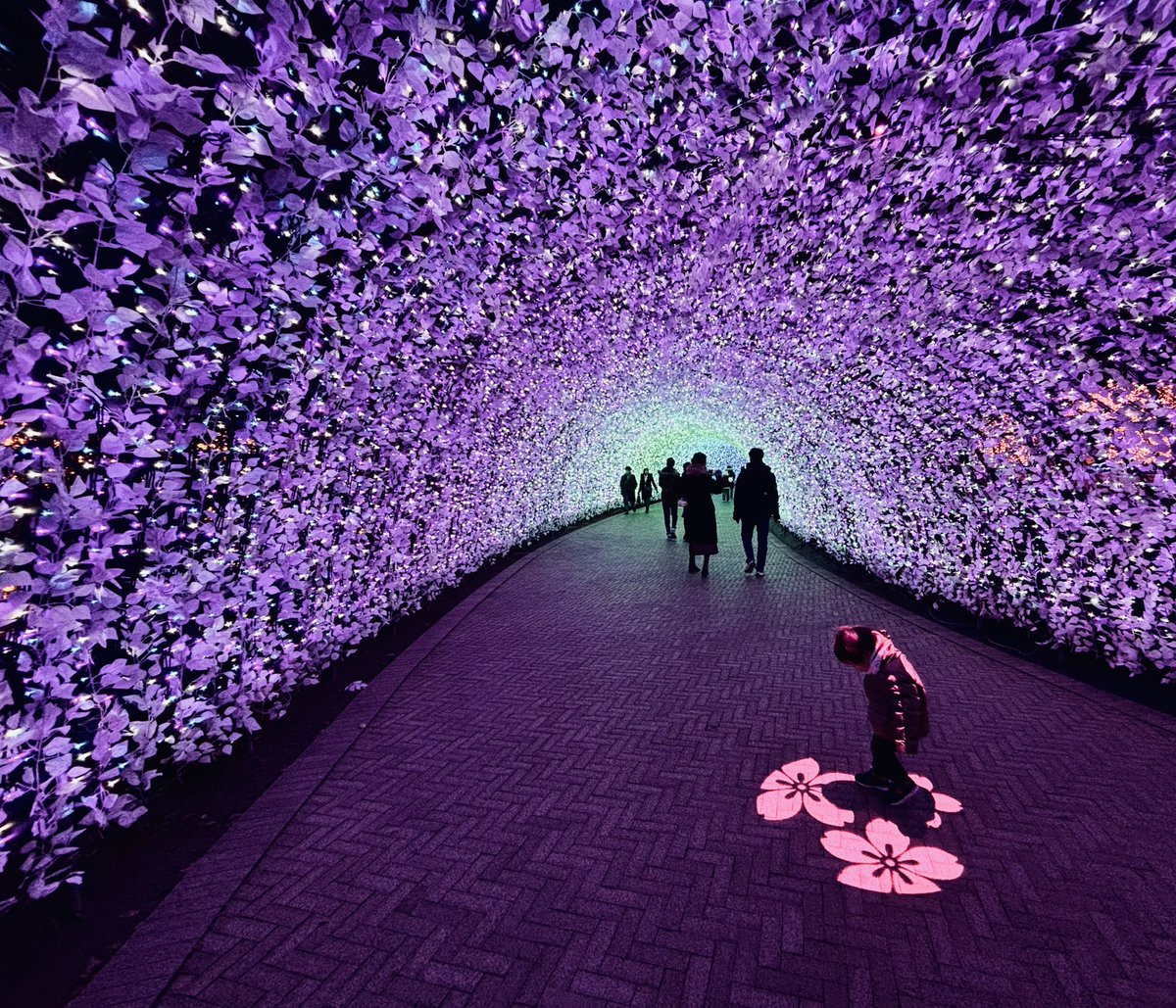 hiiro / web design tweet media