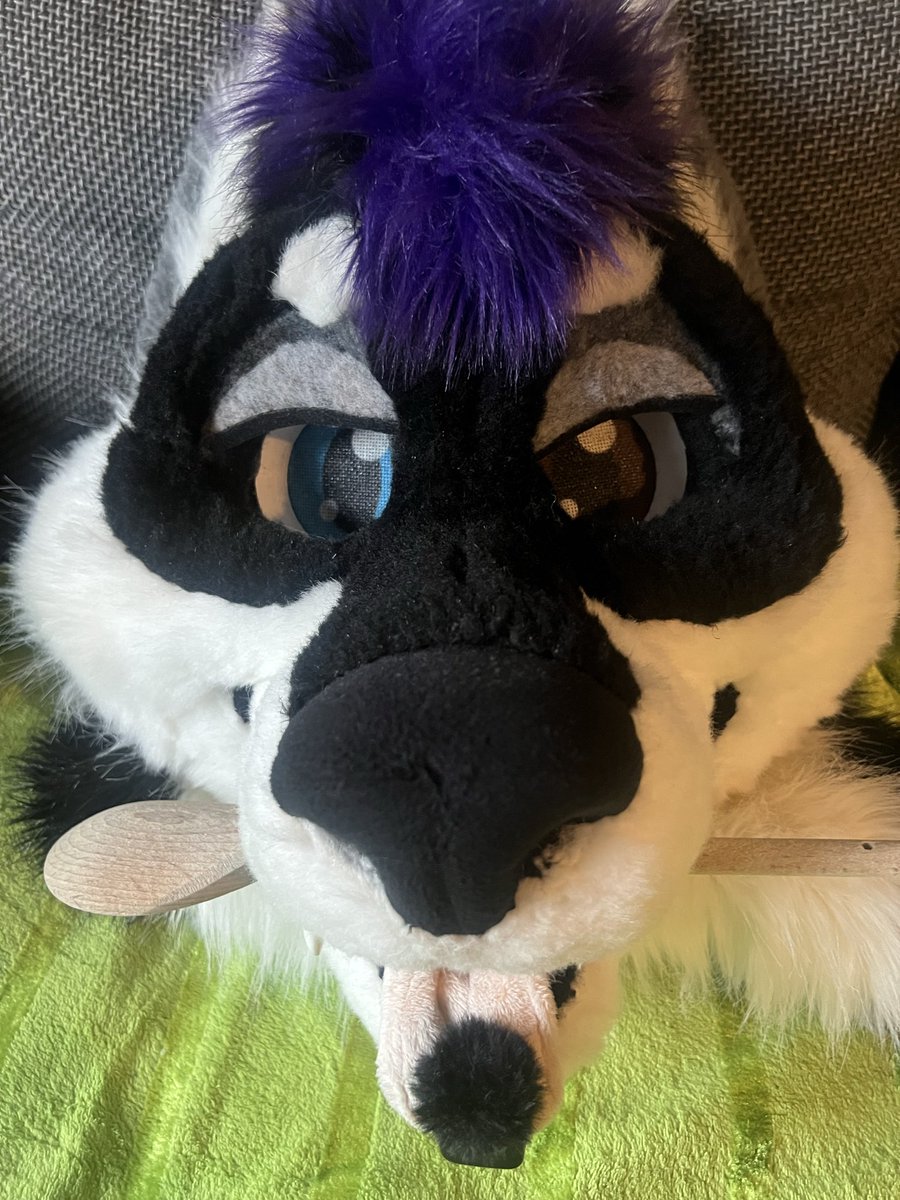 Vex_Wusky tweet media