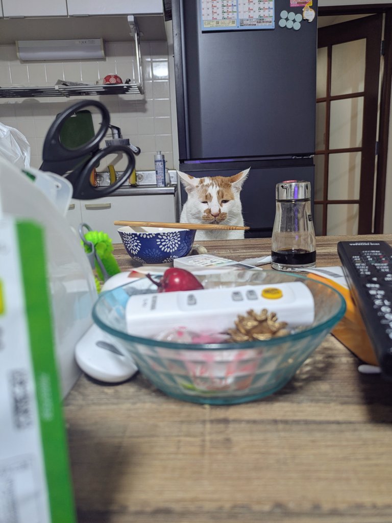 夫になりすましてる