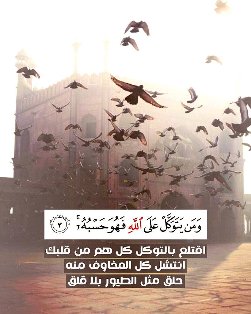 qwer_755's tweet image. ☄️لا احــد 
لا يستطيع ان يمنع عنك 
خيرا أراده اللّه لك 
او يرد عنك شرا قدره الله لـك

 "وَإِن يَمْسَسْكَ اللَّهُ بِضُرٍّ فَلَا كَاشِفَ لَهُ إِلَّا هُوَ وَإِن يُرِدْكَ بِخَيْرٍ فَلَا رَادَّ لِفَضْلِهِ يُصِيبُ بِهِ مَن يَشَاءُ مِنْ عِبَادِهِ وَهُوَ الْغَفُورُ الرَّحِيمُ" 

#مساء_🌷