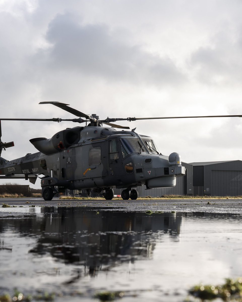 815 Naval Air Squadron tweet media