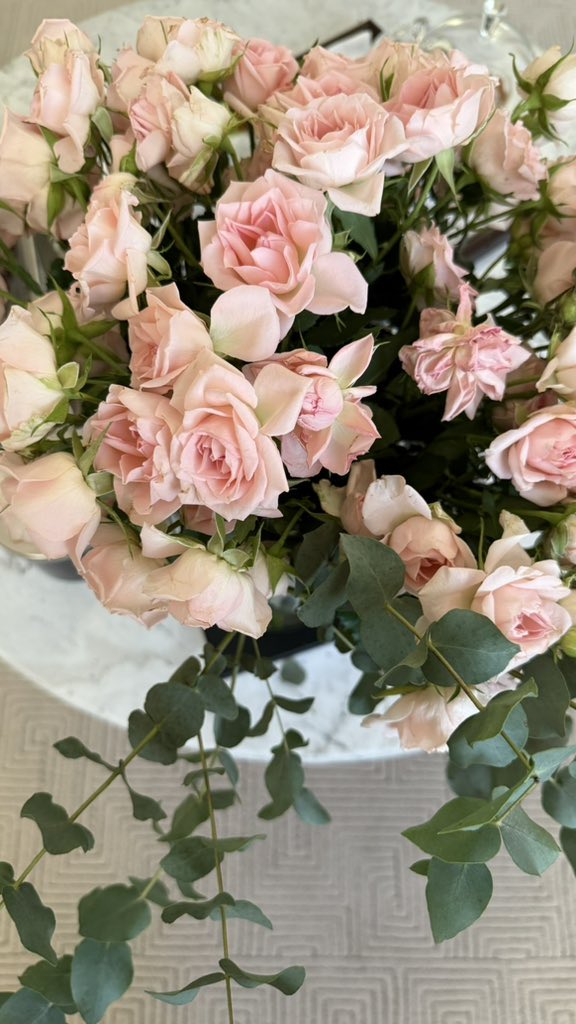 الريم❣️ tweet media