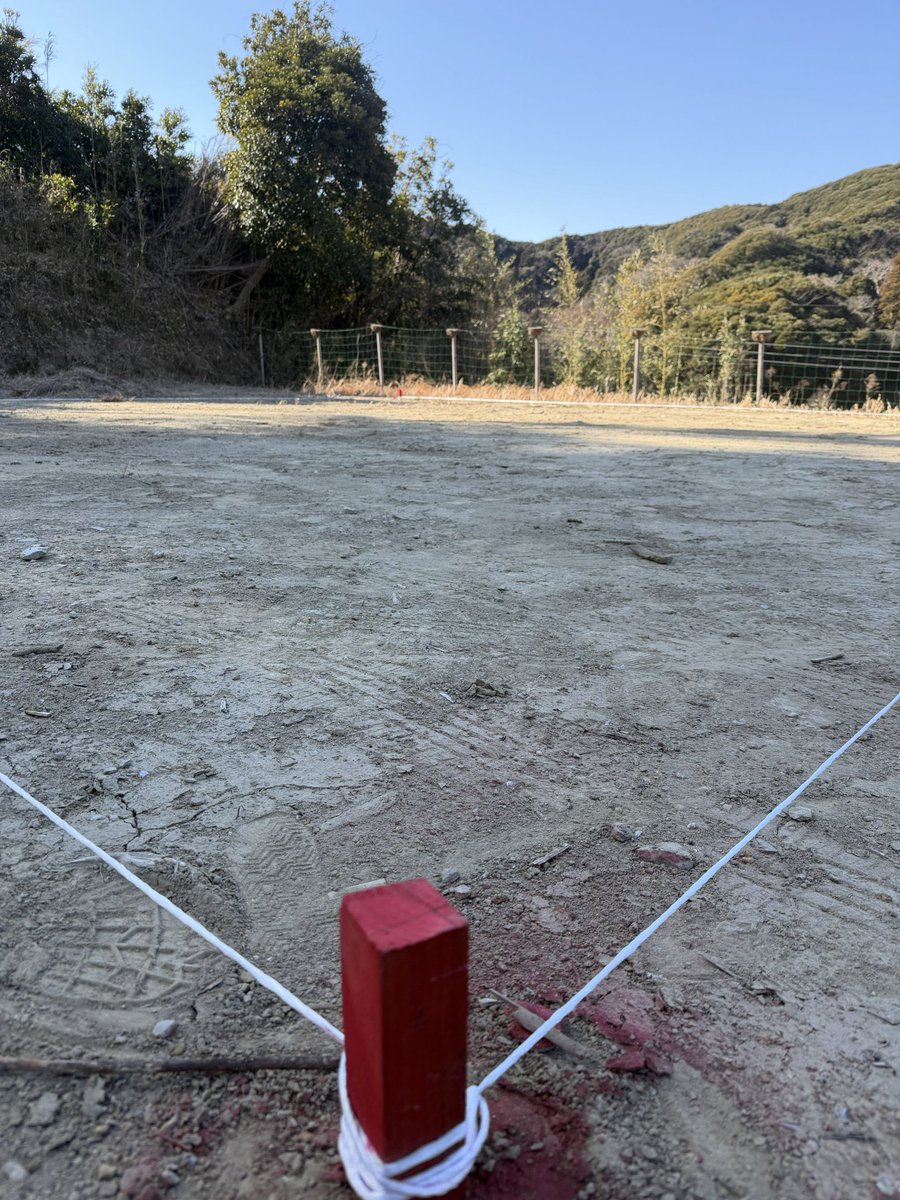 猫又療養所副所長 tweet media