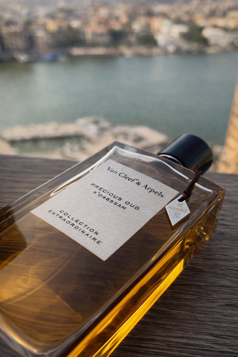 #رابطة_عشاق_العطور

عـطر 
 Van Cleef &amp; Arpels Precious Oud 

تجسـيد للفخـامة والأناقـة في كل قطـرة ♥️✨