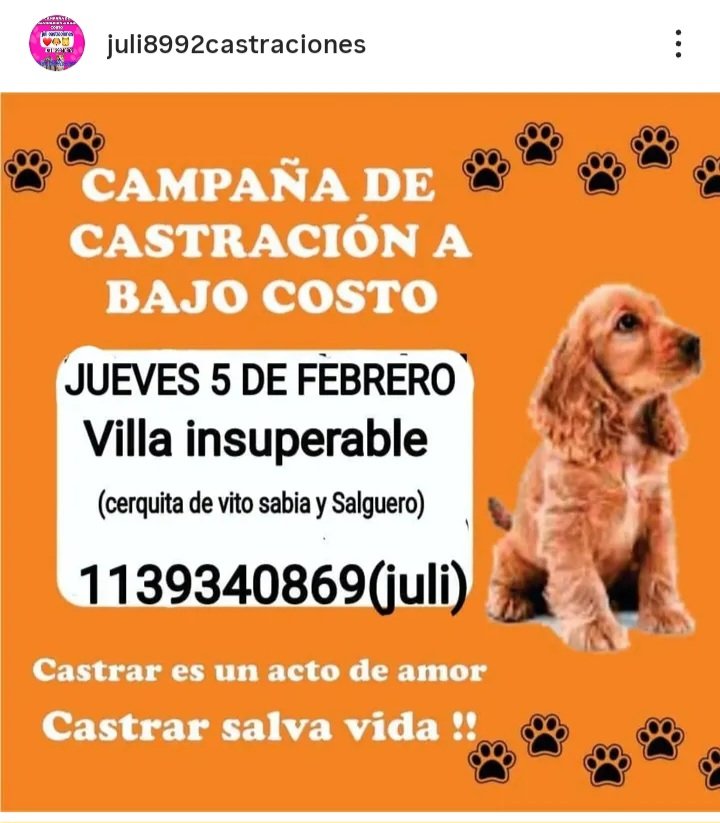 protegealanimal's tweet photo. LA MATANZA 
#LAMATANZA #MATANZA #RAFAELCASTILLO #LATABLADA #SANJUSTO #LOMASDELMIRADOR #LUZURIAGA #RAMOSMEJÍA #LAFERRERE #TABLADA #VIRREYDELPINO #VILLAINSUPERABLE #CIUDADEVITA #GONZÁLEZCATÁN #MADERO #TAPIALES #ATALAYA #ALDOBONZI #BONZI #ZONAOESTE #GRANBSAS #BSAS #CONURBANO https://t.co/zsFoGO3eqf