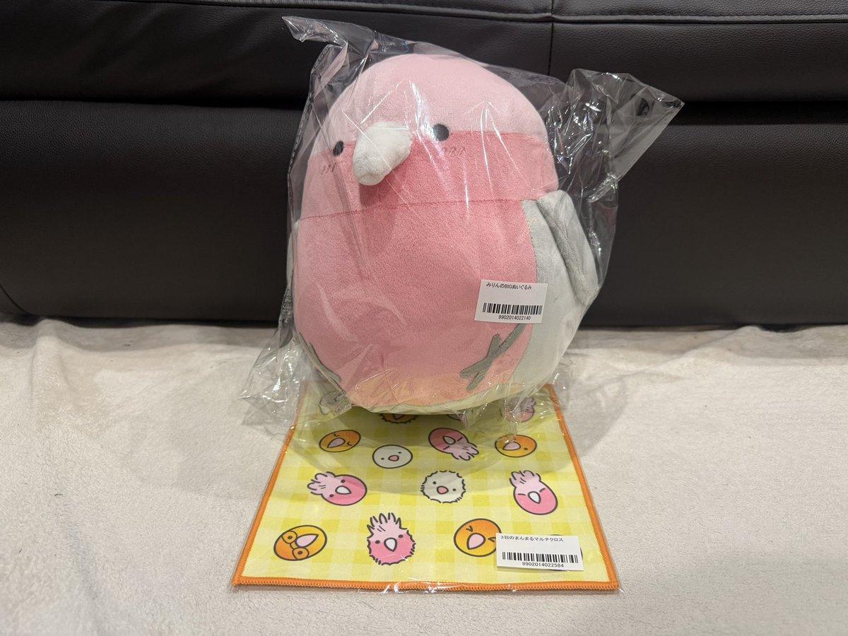 jun jun (@shikoroyama0625) / Posts / X