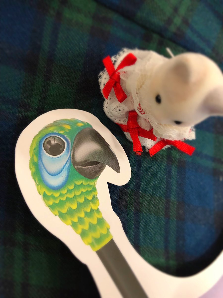 メリーポピンズの傘型のフライヤーよく見たら オウム🦜の瞳の中に