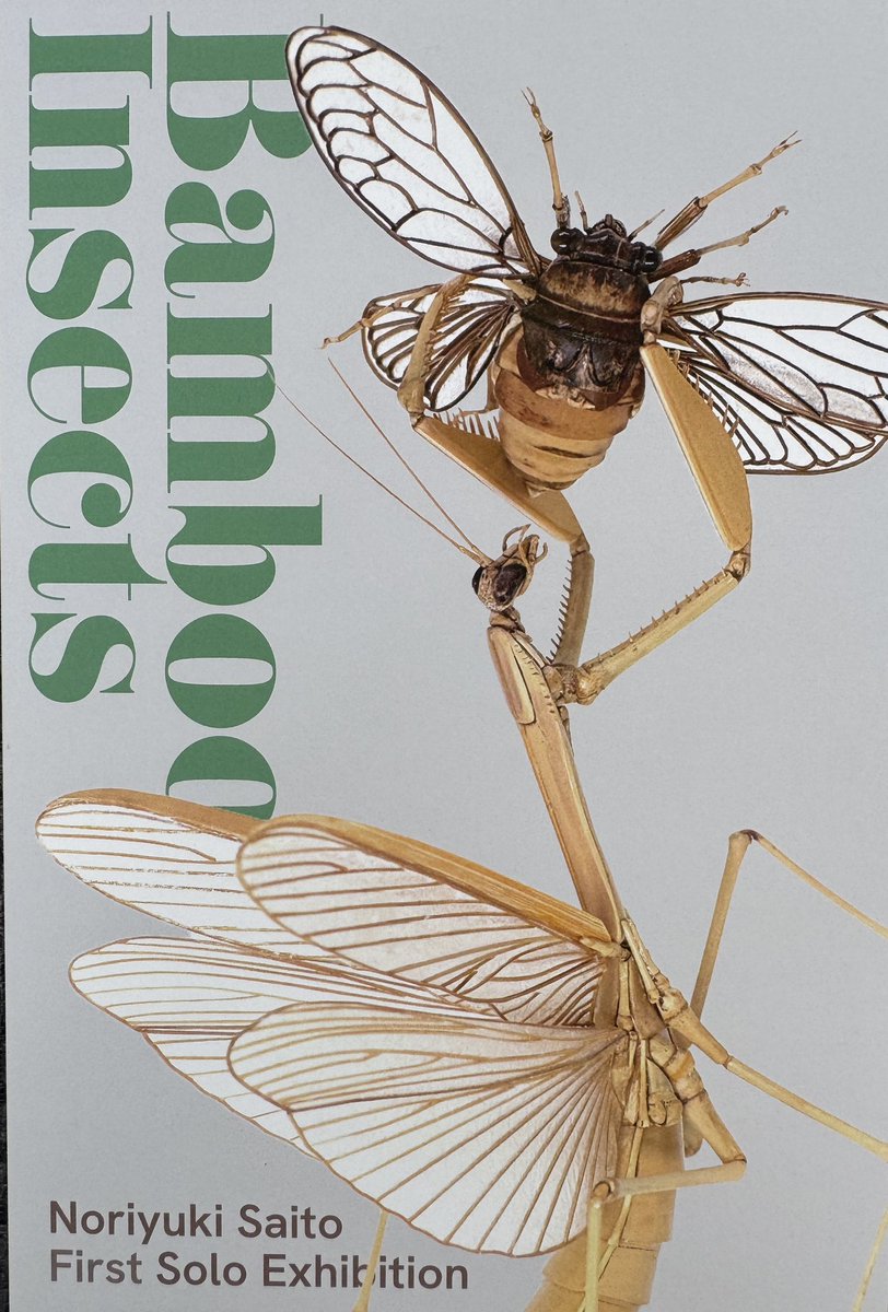 齋藤 徳幸 BAMBOO INSECTS 昆虫竹細工 (@noriji_s) / Posts / X