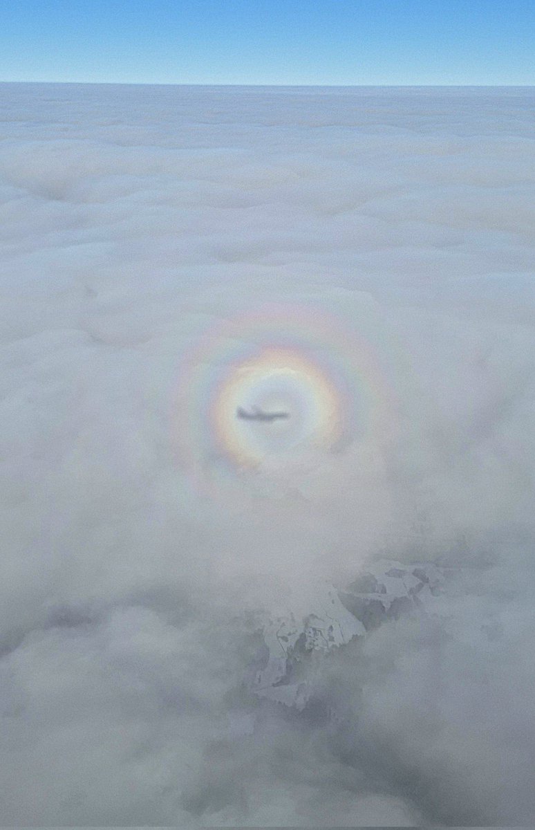 🌱Lovely_Plot 💅🇵🇱🇬🇧🪷🐞🐝 tweet media