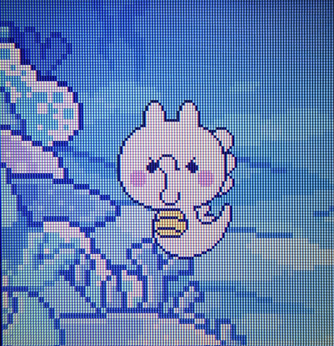 ♡♡ちゅっち♡♡ 真っ白たちゅっちかわいい〜 #たまパラ #たまごっちパラダイス
