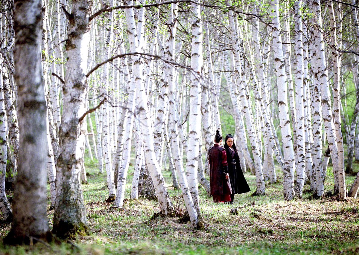 wLuvkaa's tweet photo. Chef d’œuvre!
Un film de sabre chinois qui n’exagère pas sur les combat avec des chorégraphies simple, brut mais magnifique. Une tension presque palpable.
The Assassin, HOU HSIAO-HSIEN https://t.co/e4B7HE7FID