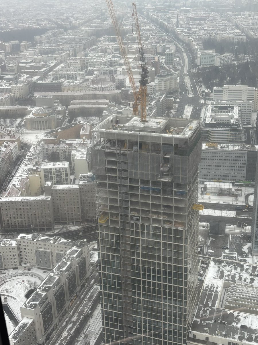 Danielle Ormond tweet media