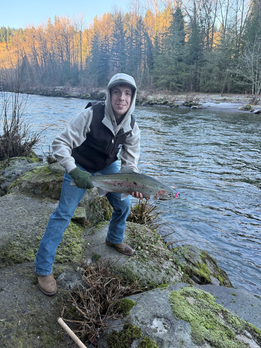 OregonFishingUS's tweet image. Rain‑Driven Steelhead Turn the Corner

Rain finally hits SW Washington, and the steelhead are turning the corner. Low rivers, fresh arrivals, and a bite ready to pop. Read this week's SW Washington fishing report - wp.me/p6Jd7i-1bCO

#WashingtonFishingReport #CatchMoreFish