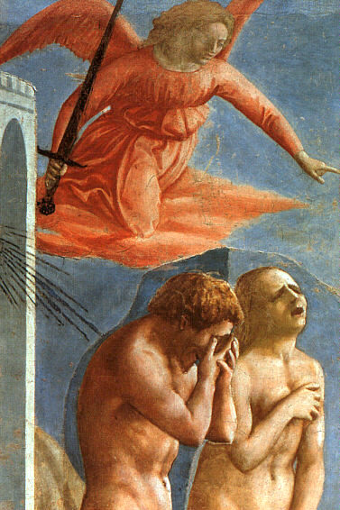 Learn Latin tweet media