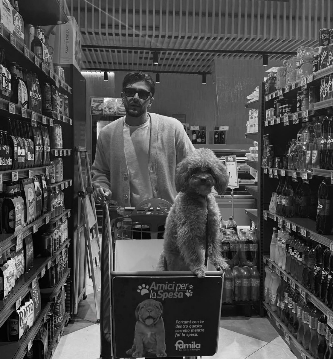 ma sono bellissimi no che teneri