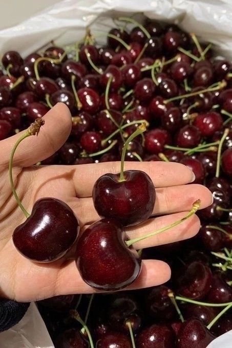 Sweet Aesthetic 🍒 tweet media