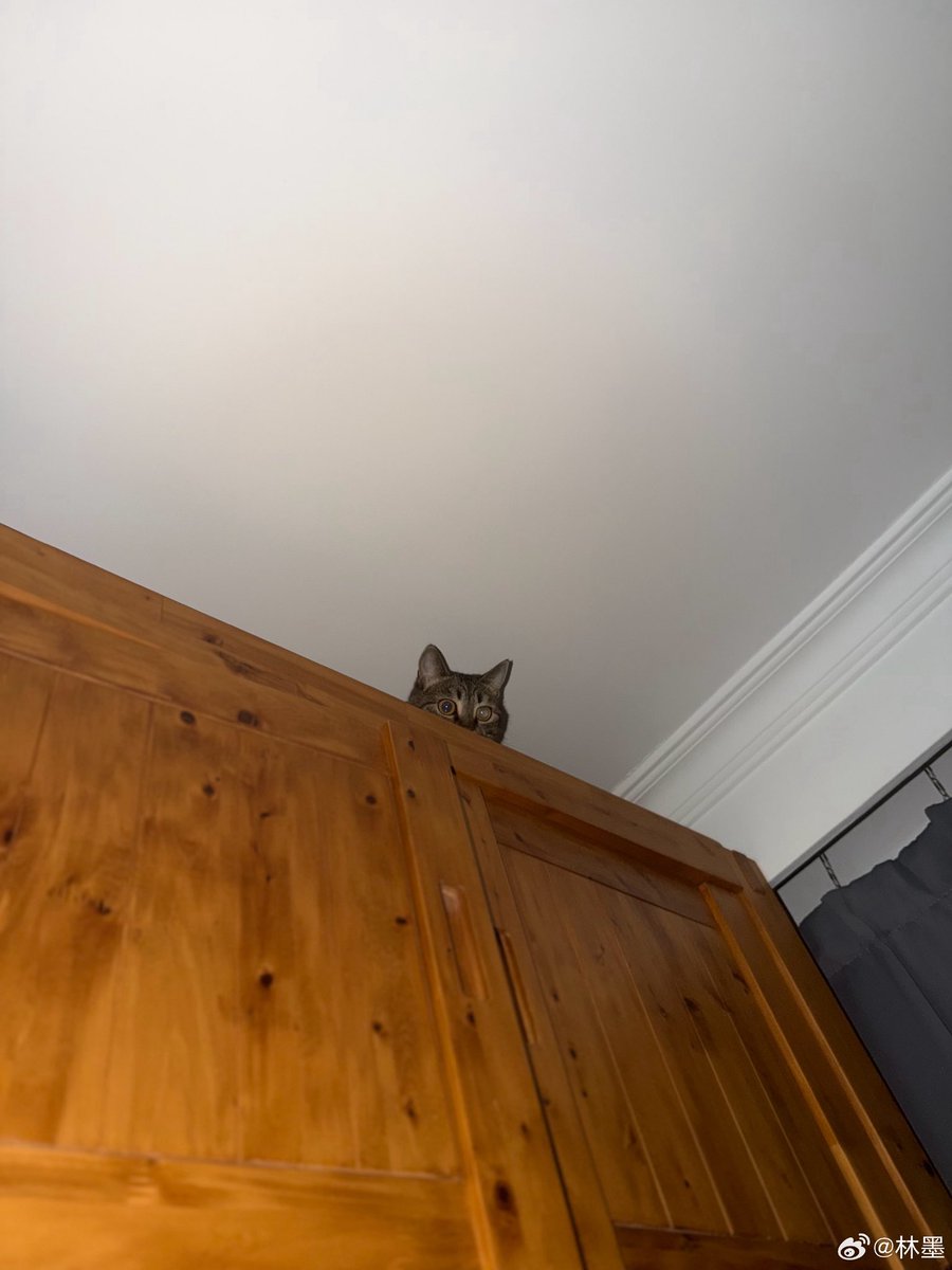 [260131] LinMo Weibo Update!💛

เดือนมกราคมเต็มไปด้วยเลข 7️⃣ #plogบอกลาเดือนมกราคม  #Momentsของหลินโม่ 

-1-

🔗weibo.com/6108312042/526…

#หลินโม่ #林墨 #LINMO