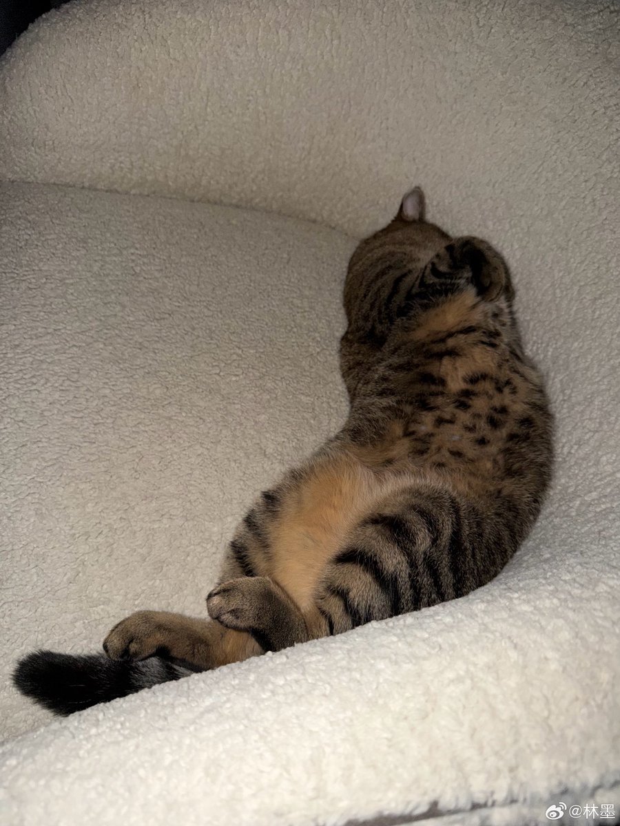 [260131] LinMo Weibo Update!💛

เดือนมกราคมเต็มไปด้วยเลข 7️⃣ #plogบอกลาเดือนมกราคม  #Momentsของหลินโม่ 

-2-

🔗weibo.com/6108312042/526…

#หลินโม่ #林墨 #LINMO