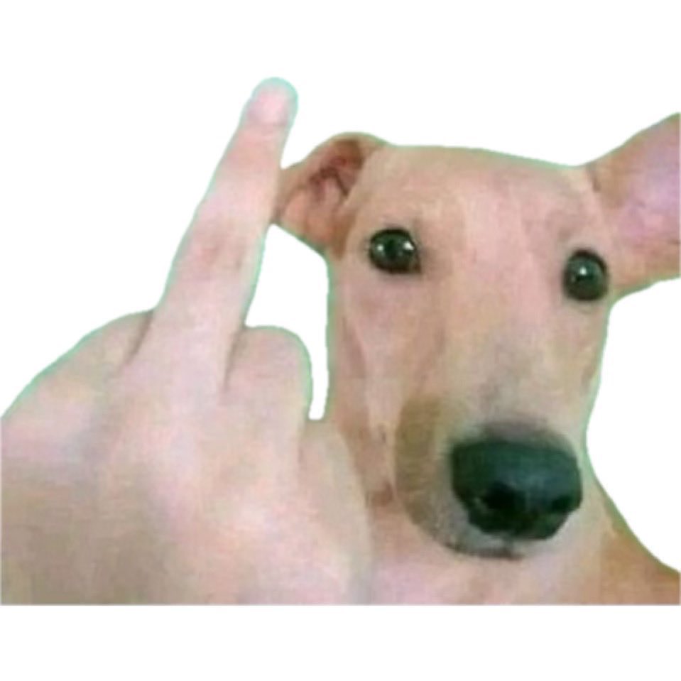 컹 (@keong_48) on Twitter photo 