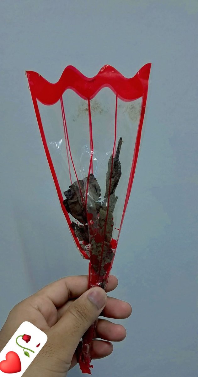 “तिमीले दिएको फूल त ओहिलिएर गयो 🌸🥀,
तर तिम्रो याद भने अझै ओहिलिएको छैन 💔✨