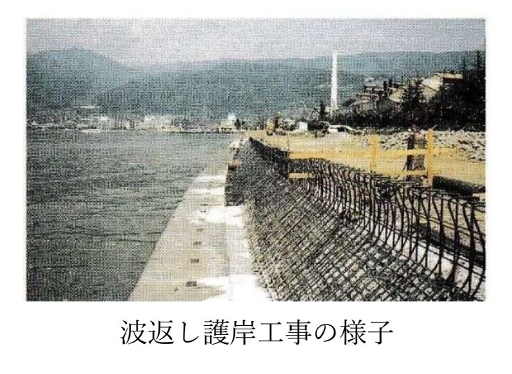 かつての諏訪湖周囲には広いエコトーンがあり、ここにはヨシや水中の植物のゆたかな緩波域があった。そしてここには豊かな生物生産があり、冬にはヤツカ漁の漁場となった。こうした場所は洪水、そして汚水対策の名のもとに埋め立てられ、湖側に波が起きやすい波返し護岸が作られた。