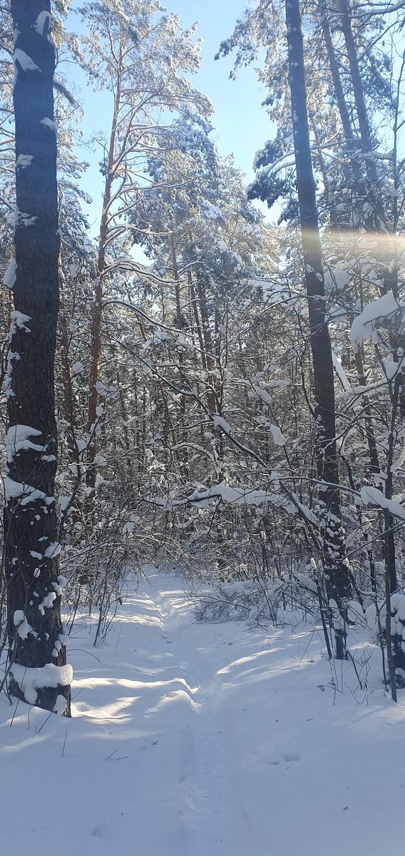 masterofmysea__'s tweet photo. Simplemente invierno. https://t.co/4ZVoIMx7YA