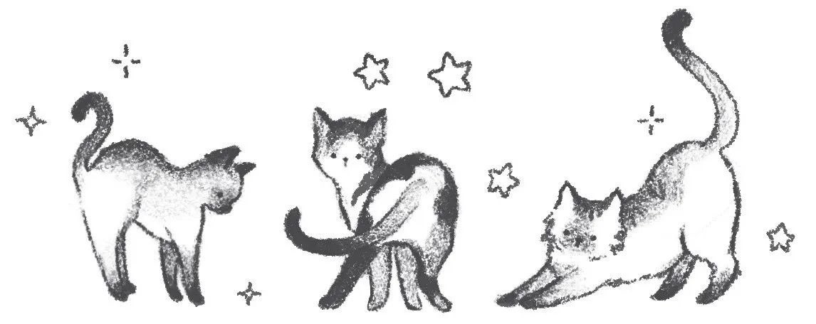 prtygal777's tweet image. 