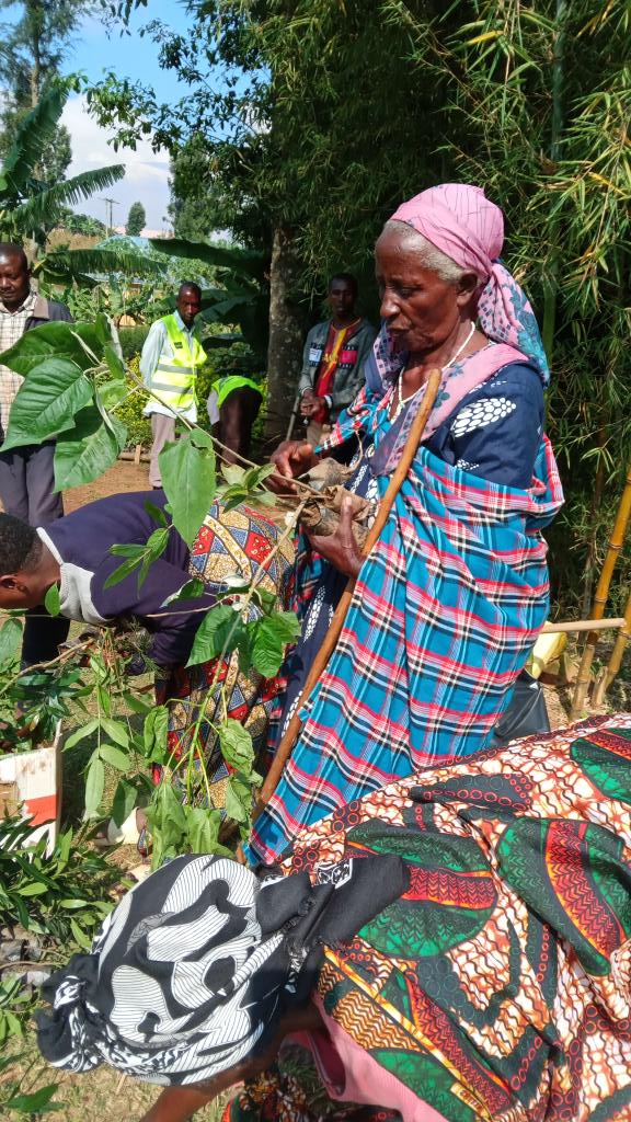 MourineAsiimwe's tweet image. Leaving no one behind for #ClimateAction .
Not too old not to plant trees because no is ever too old not to feel and be frustrated by the impacts of Climate Crisis. 
Climate Action at grassroots 🌳🌿🌱🌏
#ClimateActionNow
#LocalCommunities