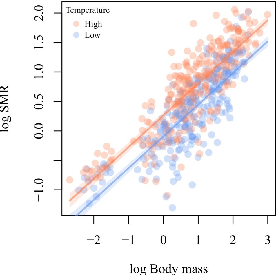 dolapo_salim's tweet photo. Is the Adriatic sea really affected by climate change, and how are invertebrate responding to it?

Check out this publication from Milad et al., 2026:
https://t.co/SOYcKmPq6I

#climateChange #Ecology https://t.co/C6HEHQRISm