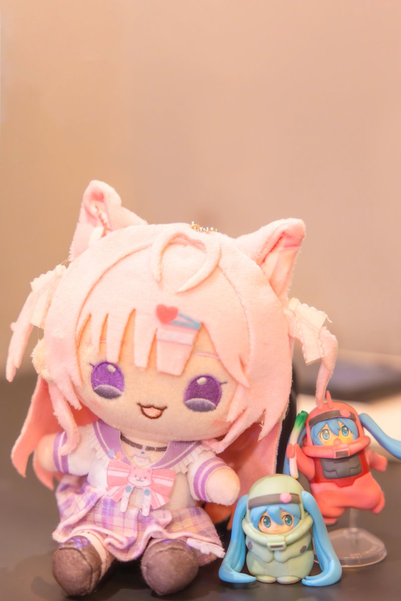 今年も友だちの誕生日に、こよりさんのグッズをプレゼントしました
去年に続いて、今年もぬいぐるみ

友だちはホロリスではないけれど、
以前ももこさんのイラストが本当に好きだと言っていたのを思い出して
私の独断で一昨年から毎年プレゼントしています

来年はねんどろいどを贈ってみようかな😁