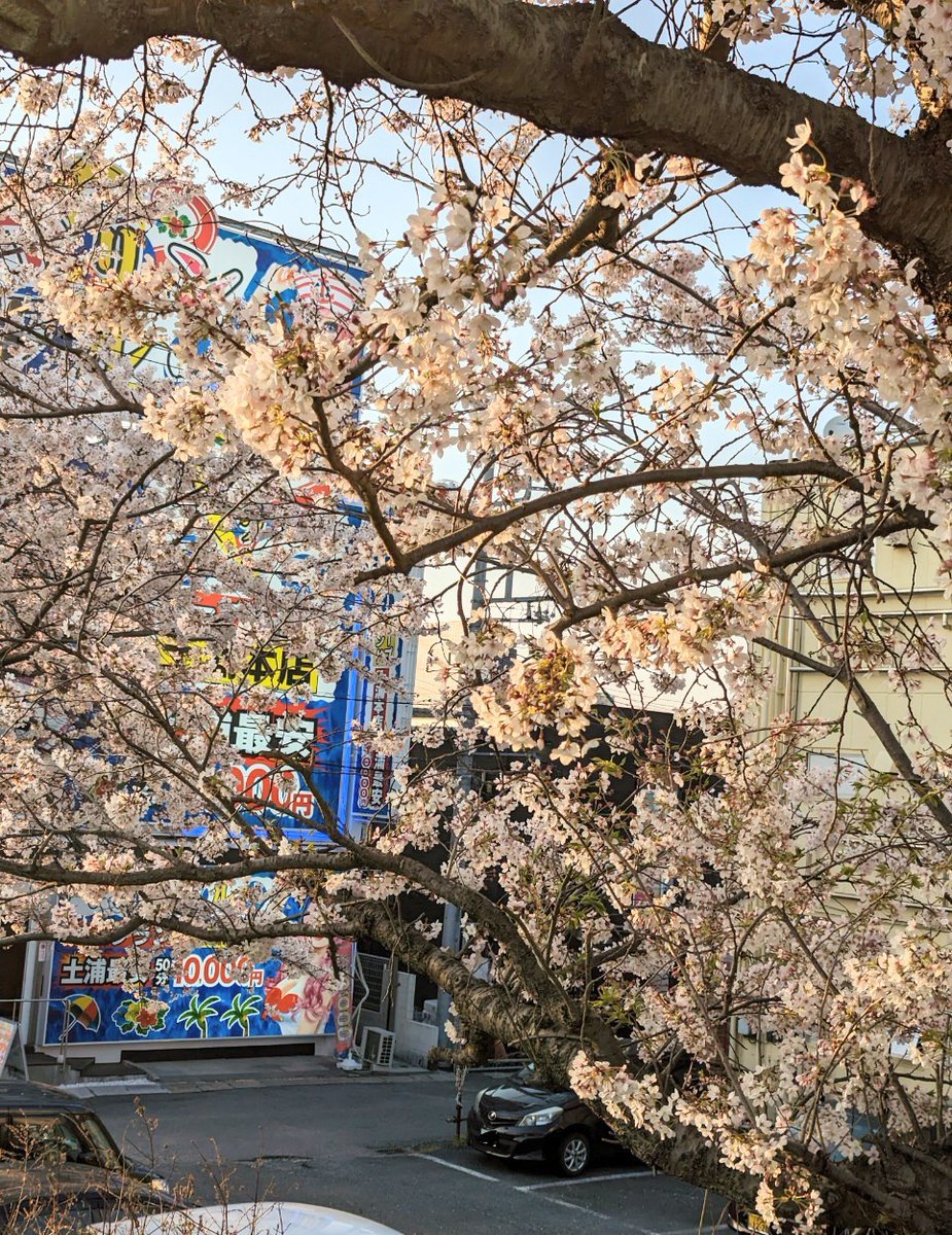 マリングループ一斉閉店らしいですね
性風俗で働く人が労働者として守られるような世界を望みます 