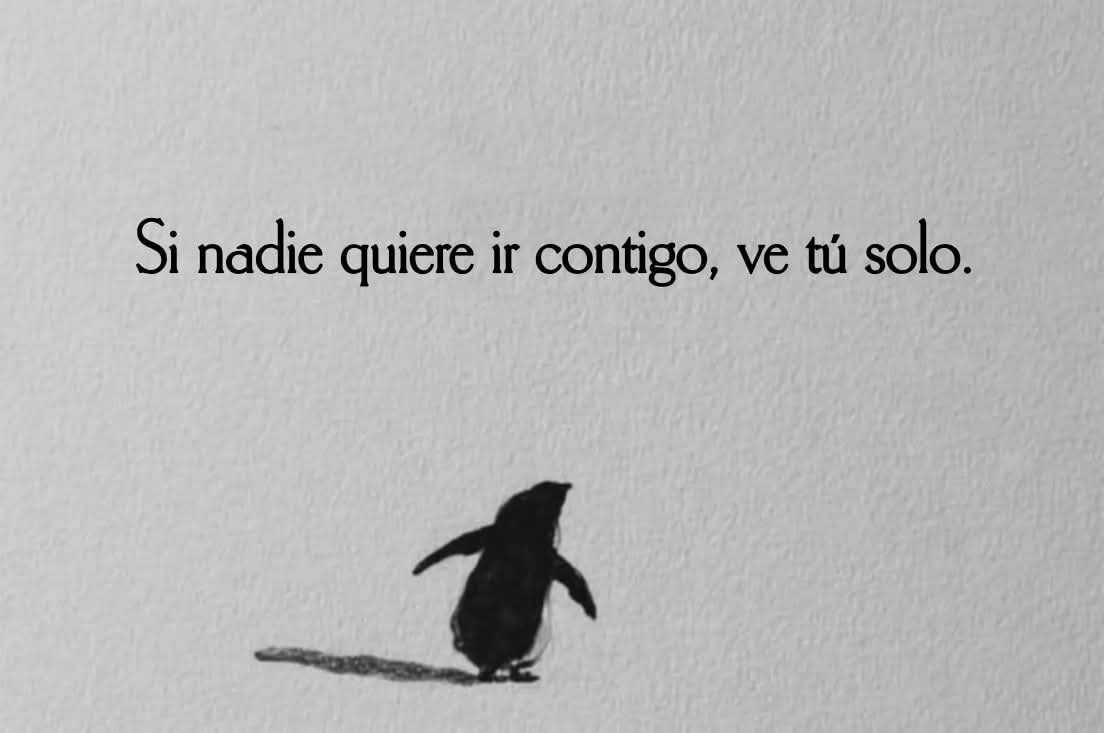 angelo_uf's tweet image. 