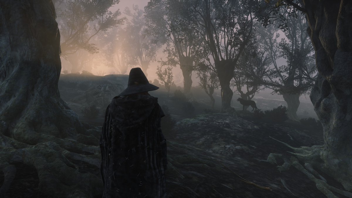 ISVRaDa's tweet photo. The wolf howling at twilight greets us cautiously in the forest...

El lobo aullando en el crepúsculo nos recibe con prudencia en el bosque..

#paxdei #JustCreators @PlayPaxDei @JustAbout__ https://t.co/E5f0Fhdmv2