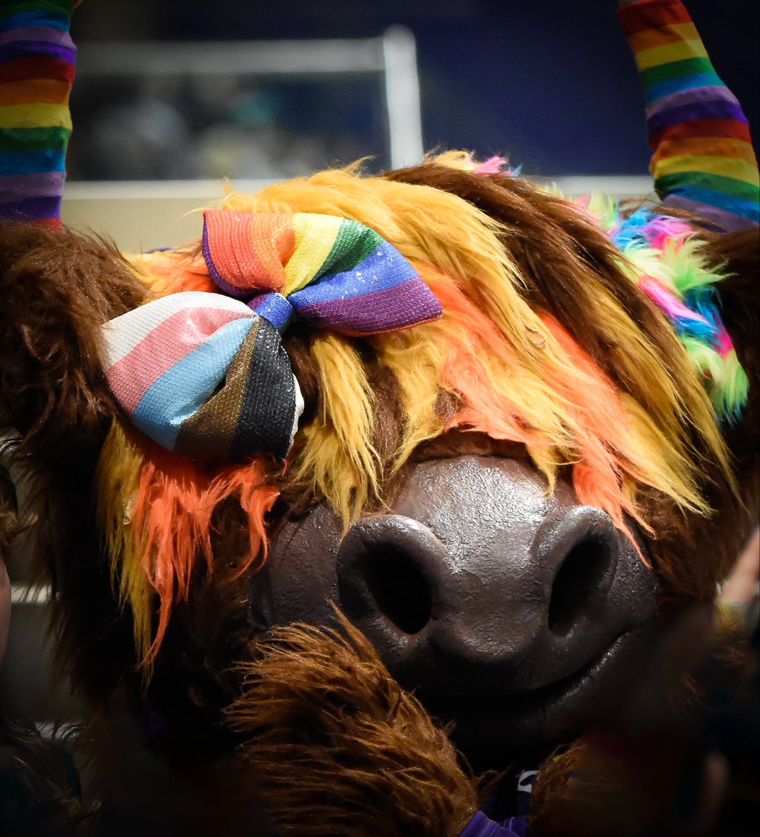 Have you ever seen a prettier/handsomer Coo 💜☺️ <a href="/Clangus00/">Clangus 00</a> 
#stunning 🐮🌸