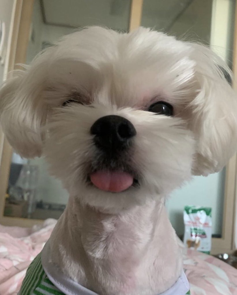 ⚡️นักเรียนหมอ *🔥รับคิว 24 ชั่วโมง tweet media