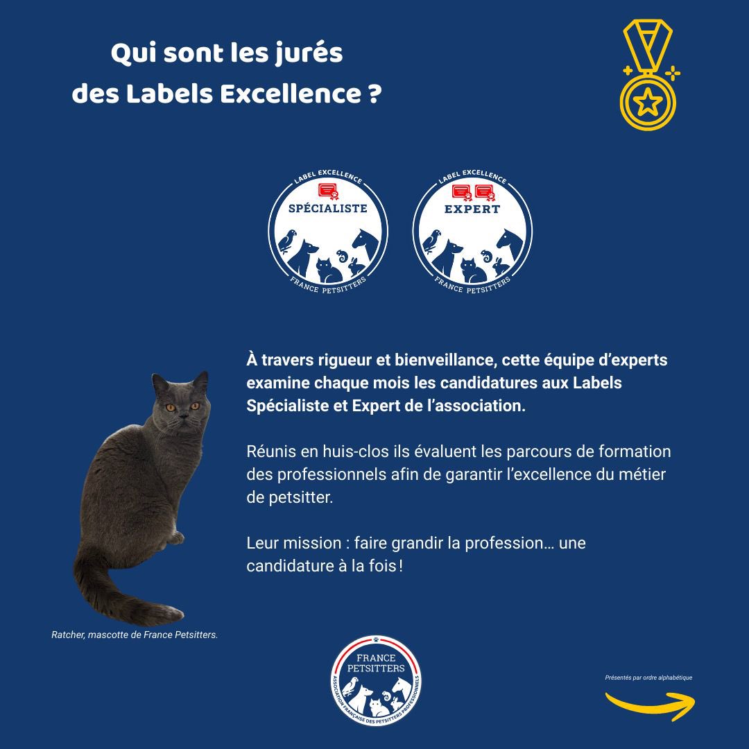 France Petsitters tweet media