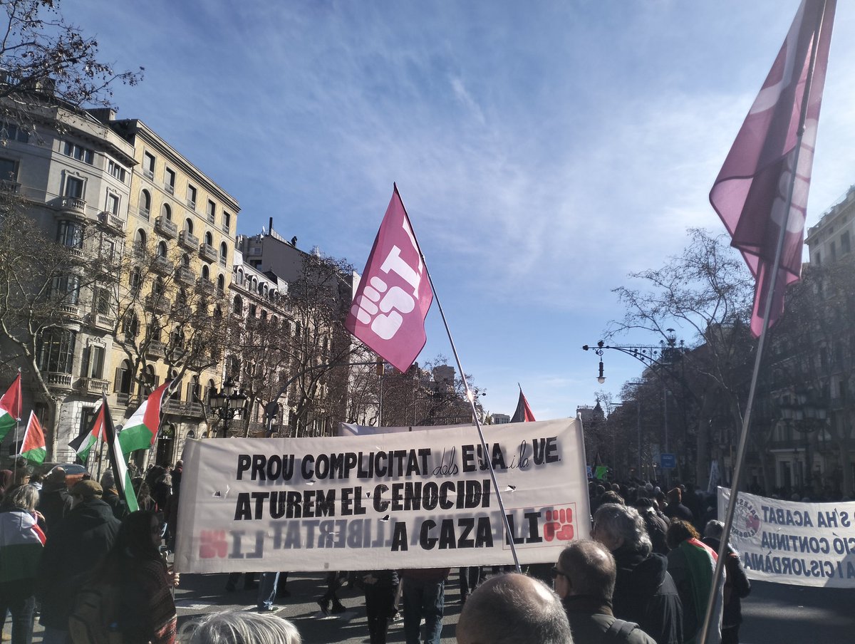 Lluita Internacionalista (LI) tweet media