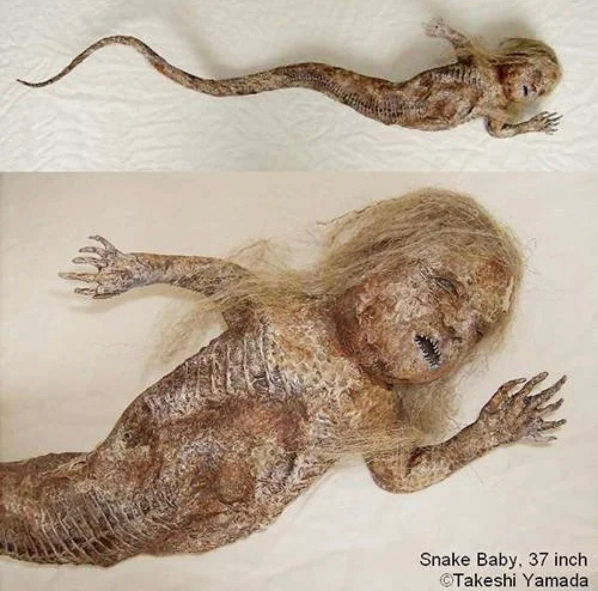 vile cheesy one tweet media