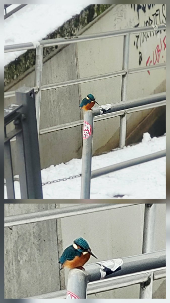 Die_Schleußigerin 🏳️‍🌈 tweet media