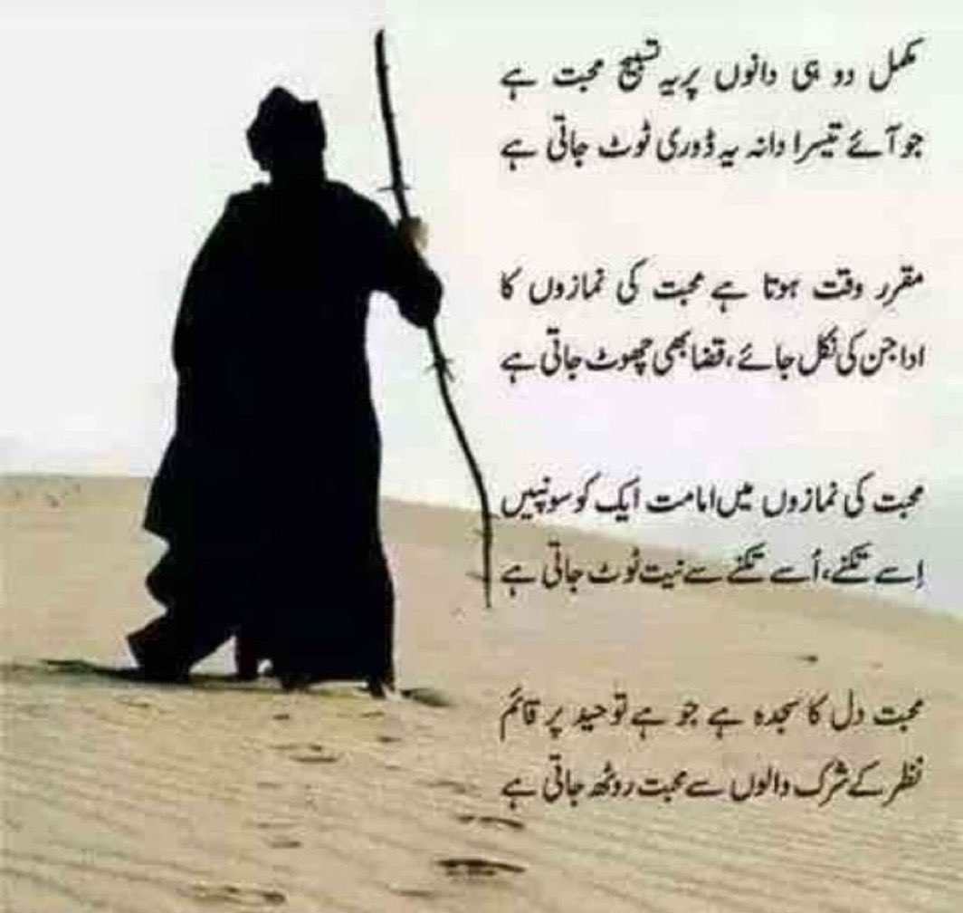 forhellowhi's tweet image. 