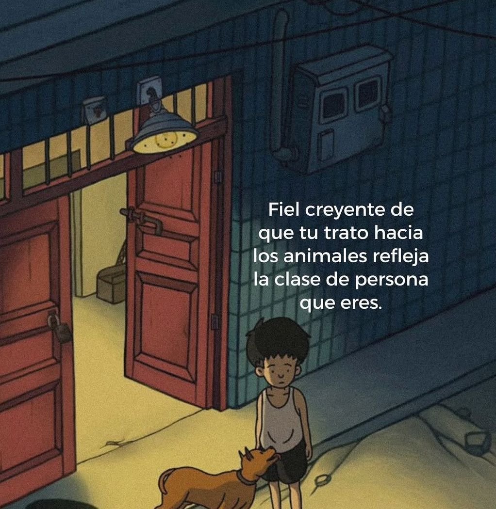 BANDIDOS (@bandidosfrasess) on Twitter photo 