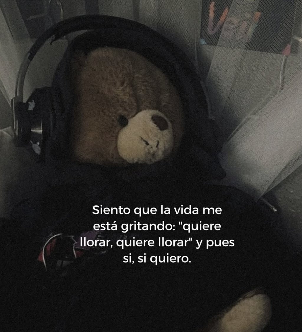 BANDIDOS (@bandidosfrasess) on Twitter photo 